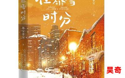 赤雪情殇-言情小说-都市言情小说-免费言情小说在线